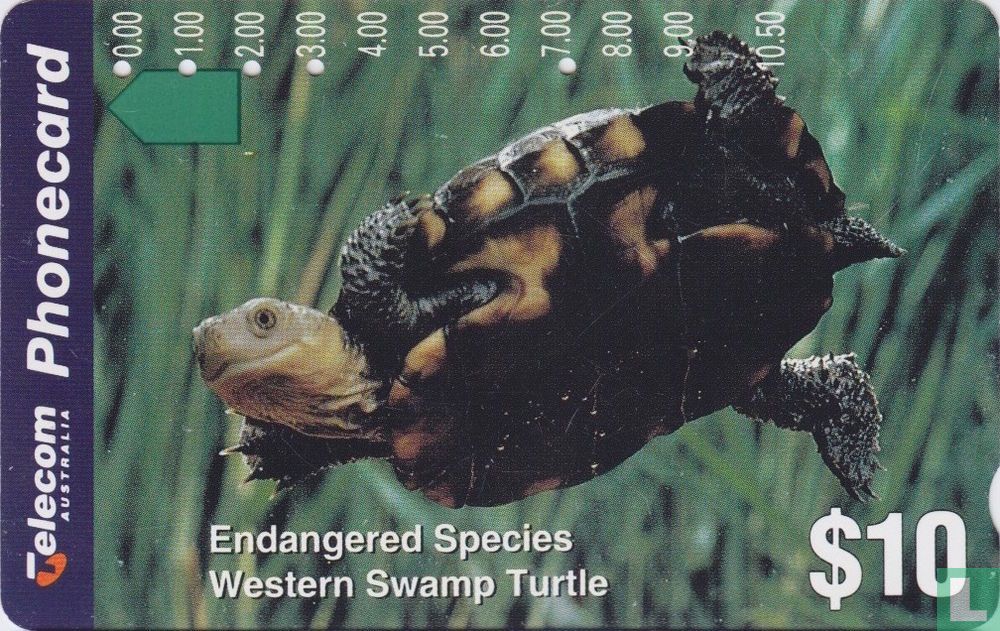 Western Swamp Turtle