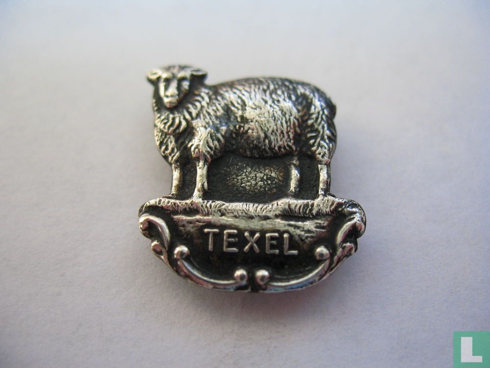 Texel (schaap type 3)