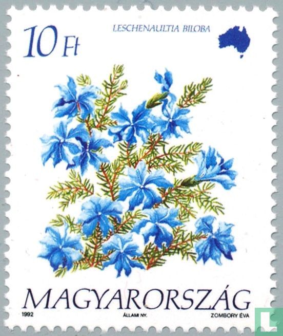 Blue Leschenaultia