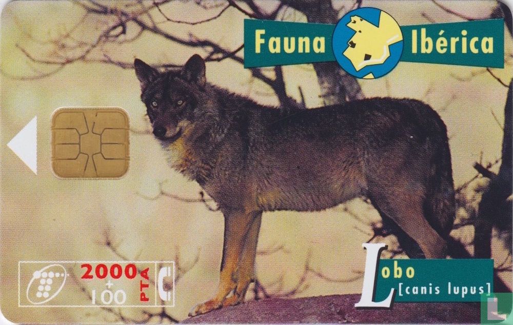 Lobo [canis lupus]