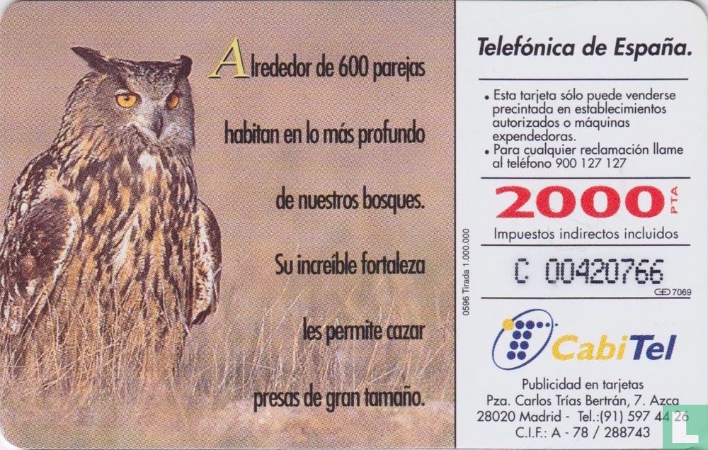 Búho real [bubo bubo]