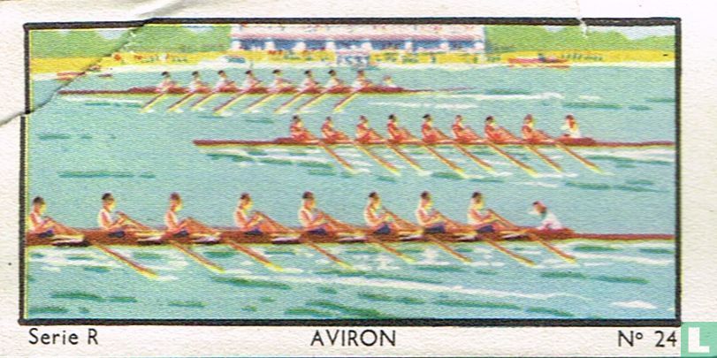 Wedstrijd
