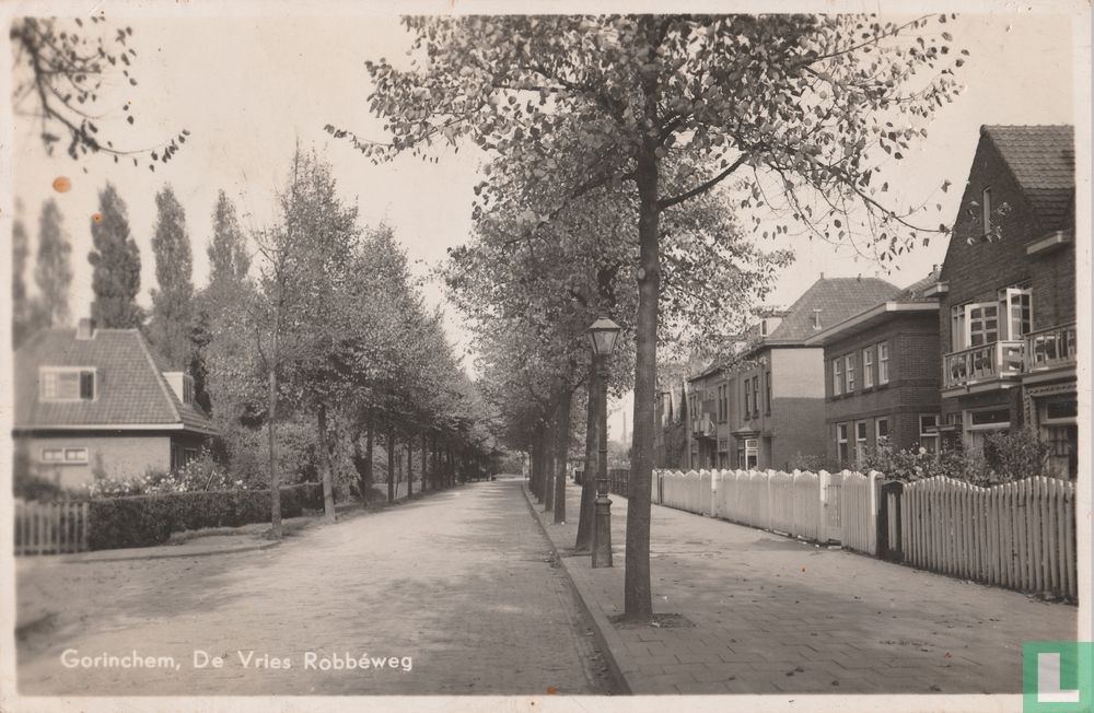 Gorinchem De Vries Robbéweg