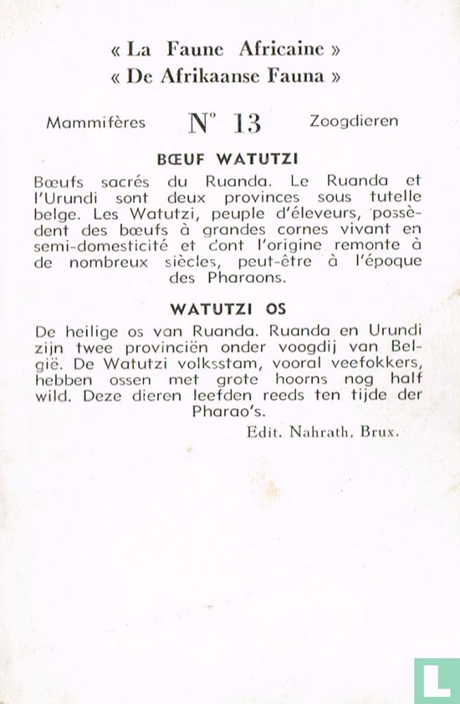 Watutzi os