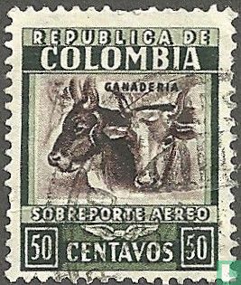 Cattle