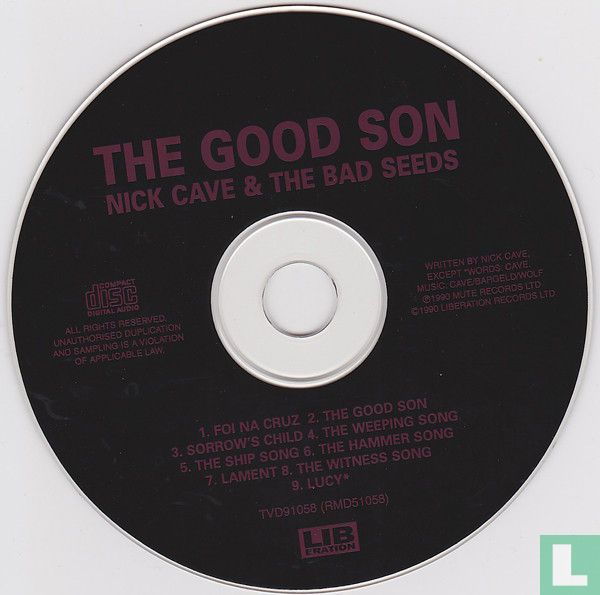 The Good Son