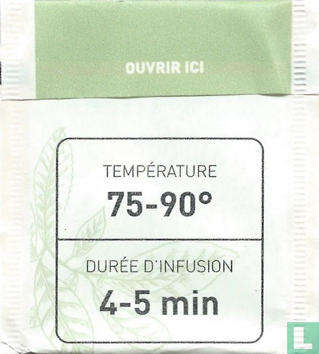 Verveine