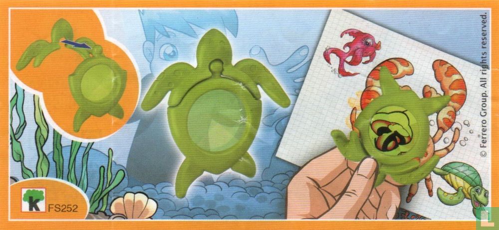 Tortoise with magnifier