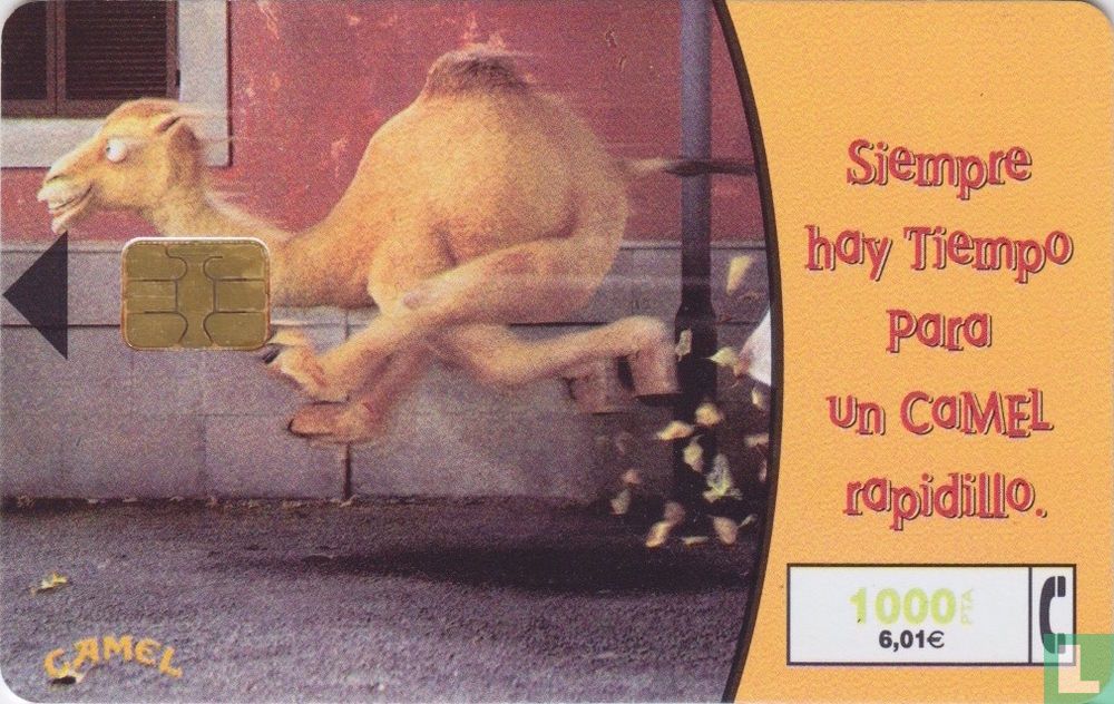 Camel