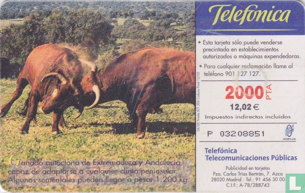 Toro Retinto