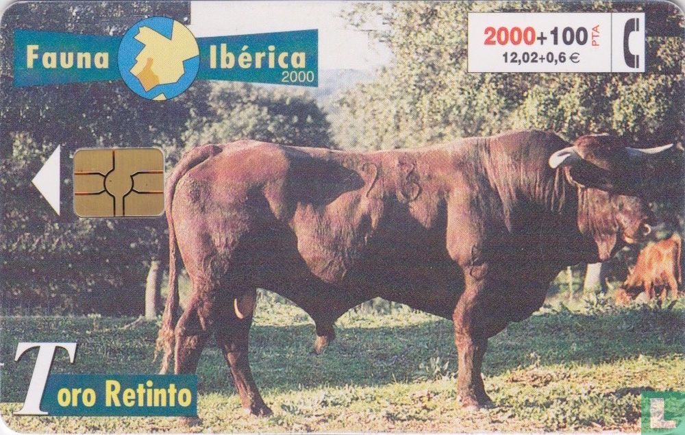 Toro Retinto