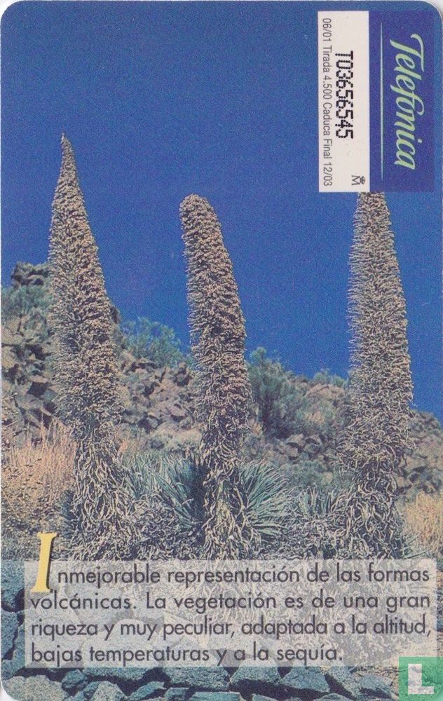 Cañadas del Teide