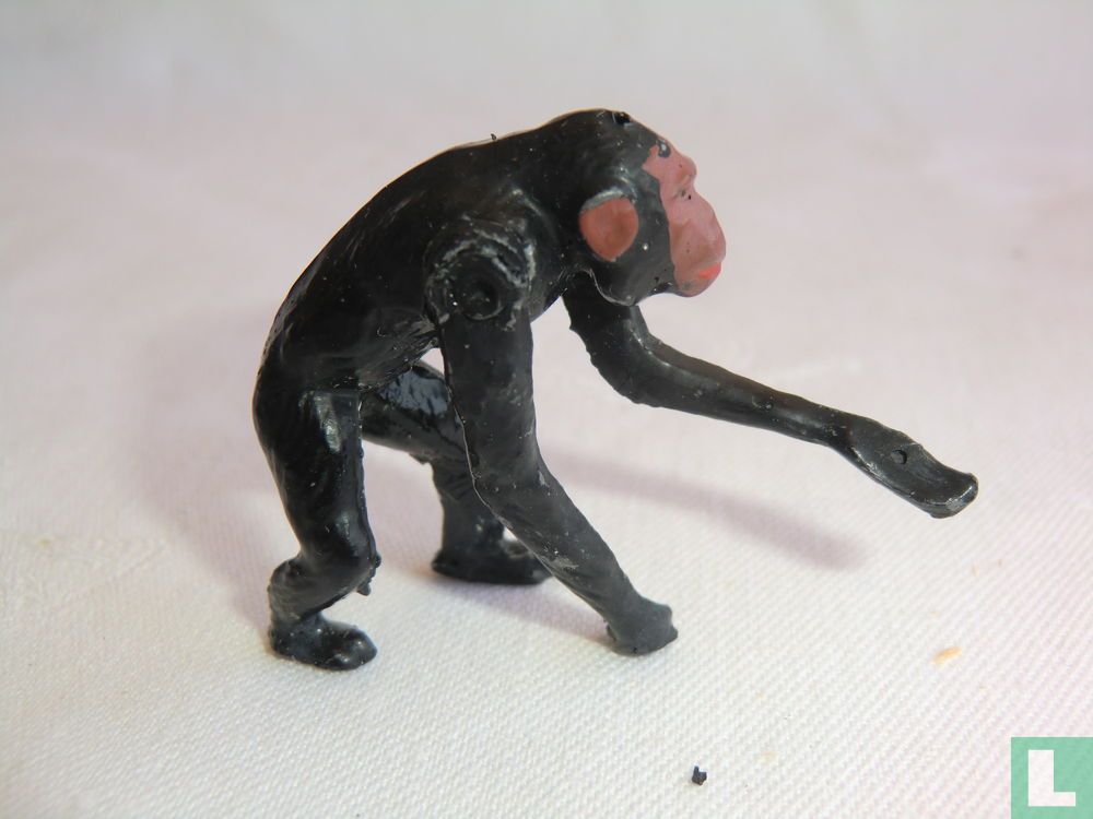 Chimpanzee