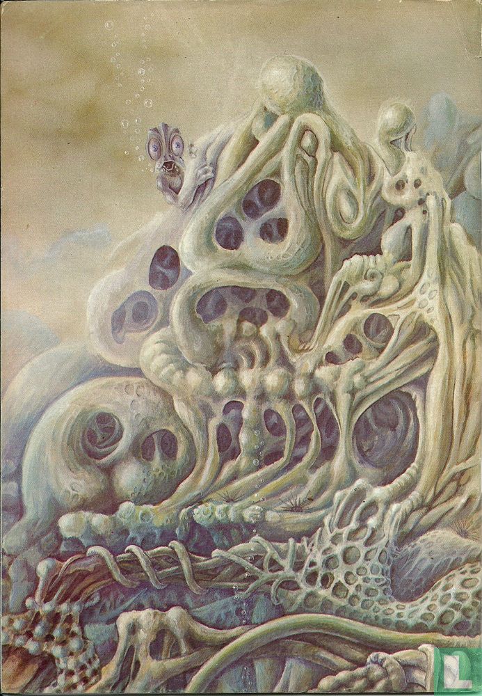 Narrow Land