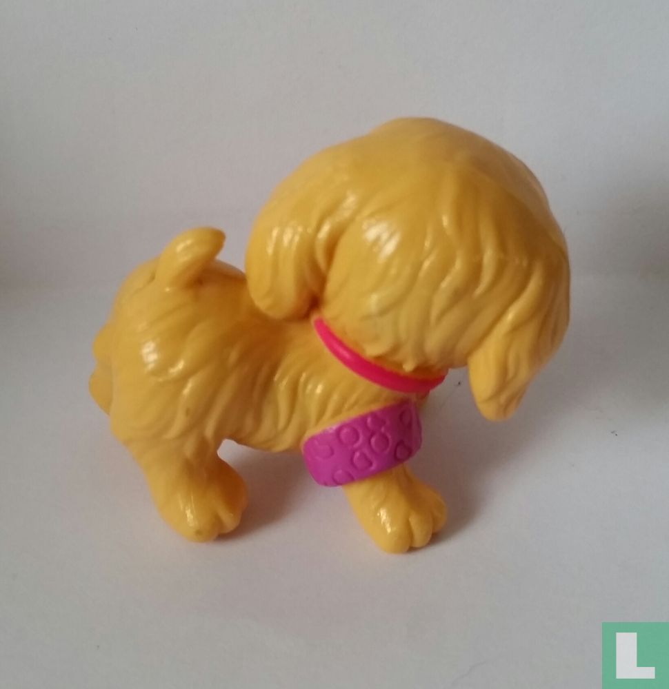 Hond