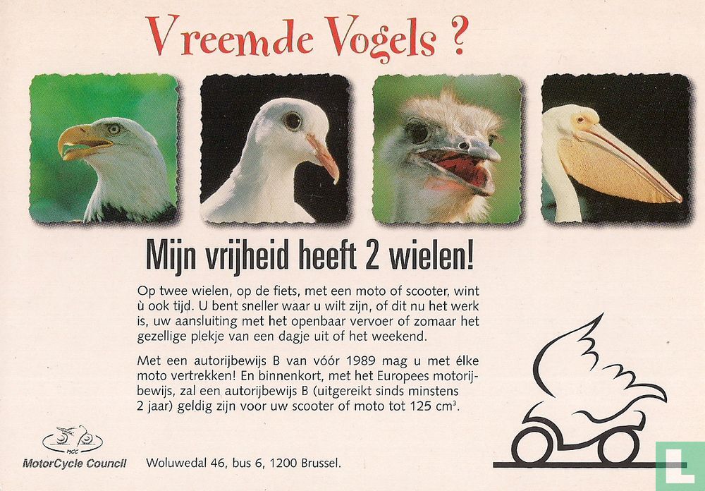 0758b - MotorCycle Council "Vreemde Vogels?" (1998) - Boomerang Free