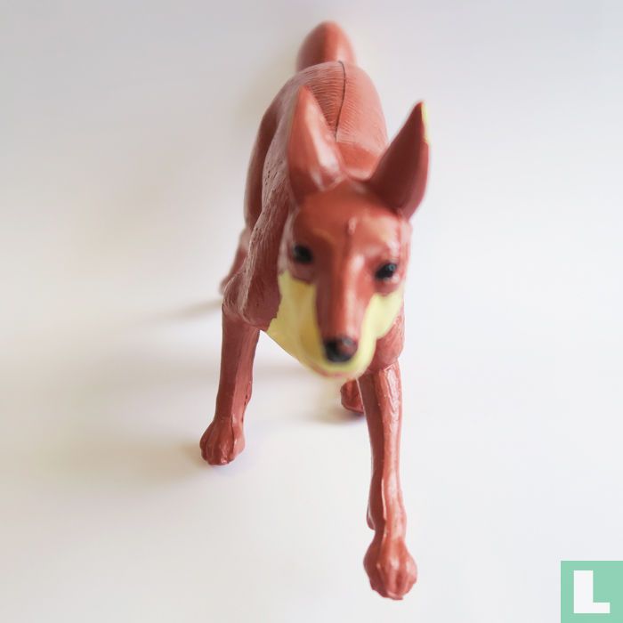 Swift Fox
