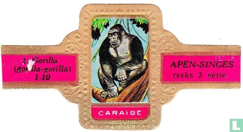Gorilla (gorilla-gorilla)
