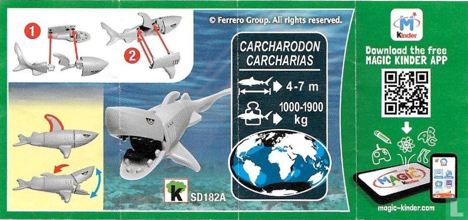 Shark