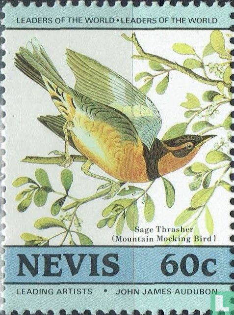 Vögel (II)