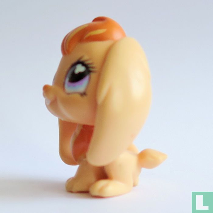 lapin lop