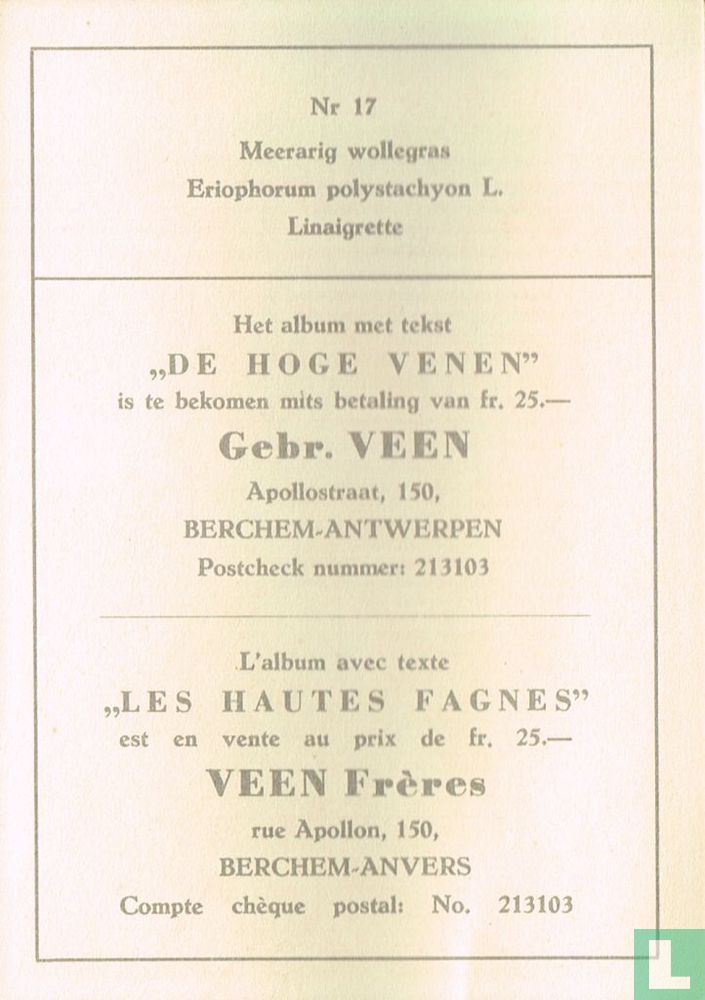 Meerarig wollegras