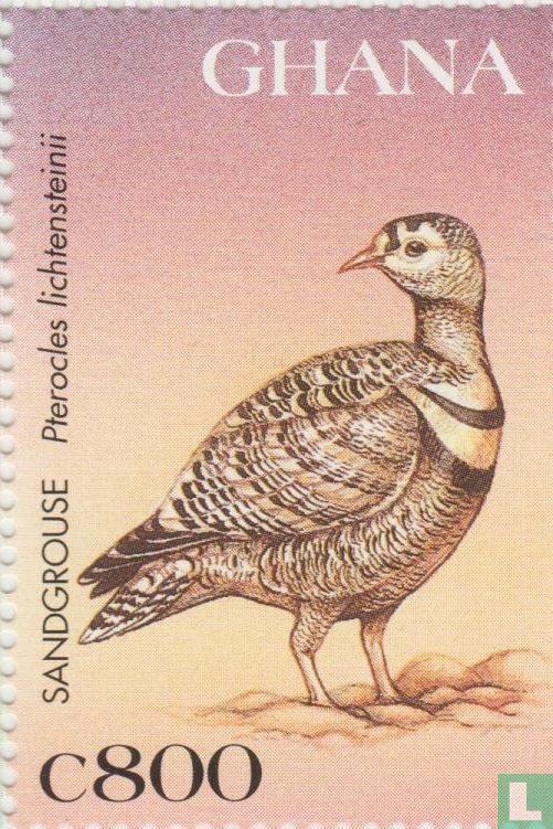 Einheimische Vögel