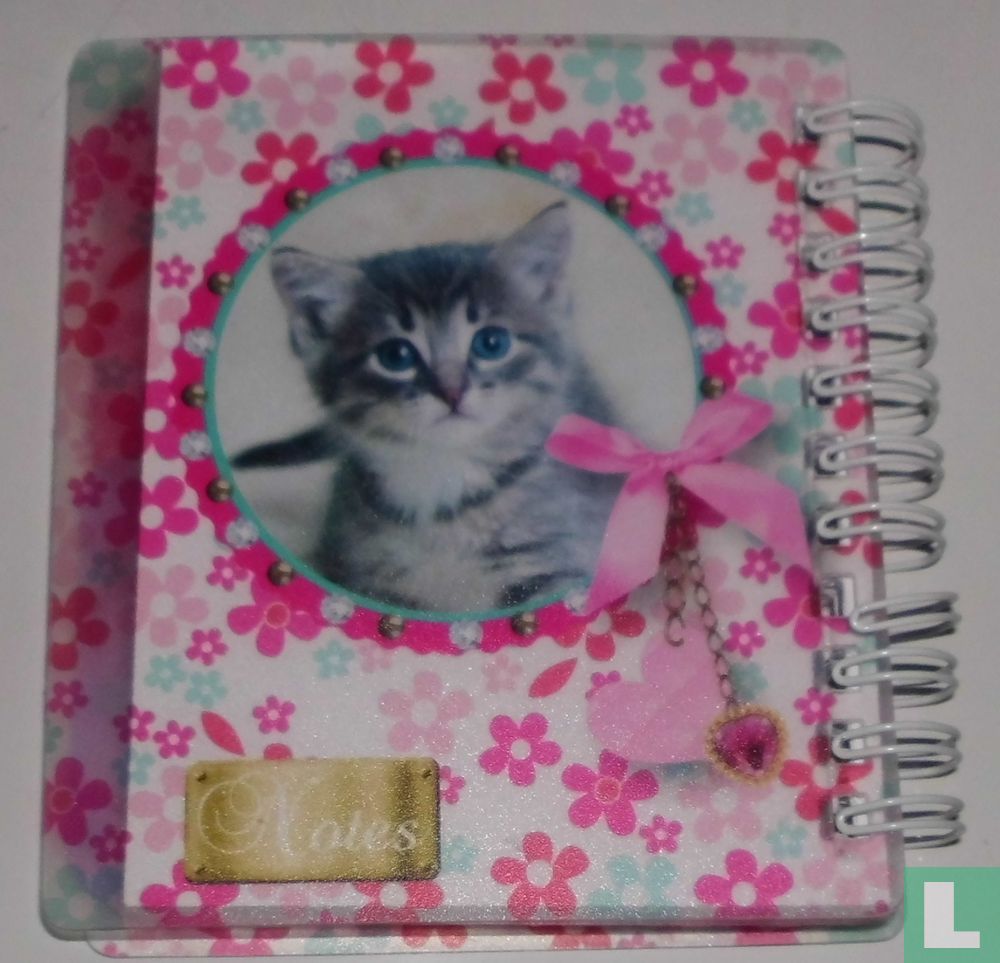 Mini notebook
