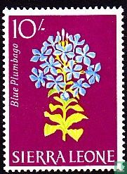 Blumen