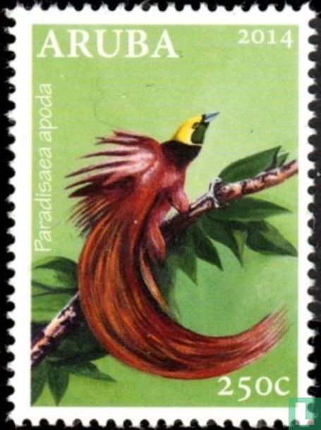 Große Paradiesvogel