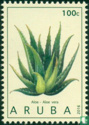 Medicinal plants 