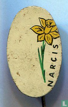 Narcis