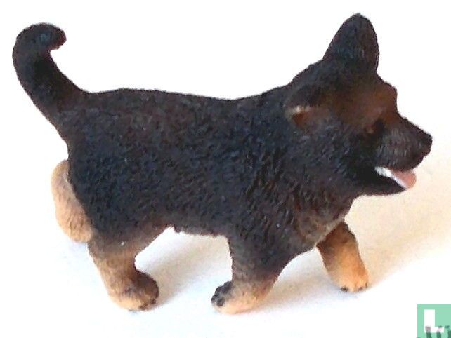 German shepherd puppy