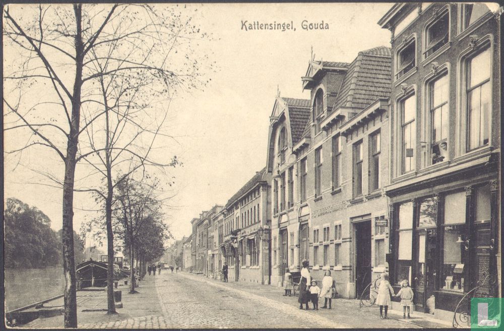 Kattensingel