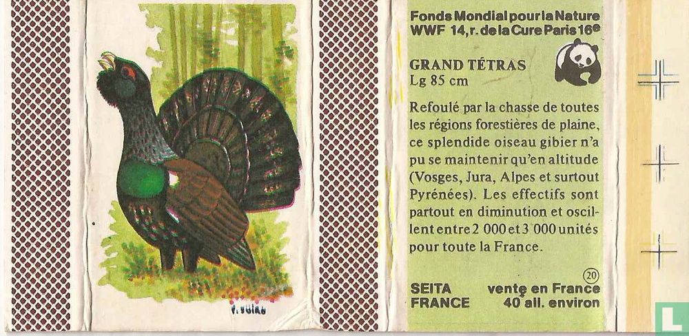 Grand Tétras