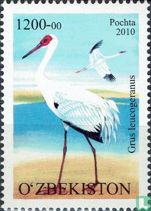 Oiseaux