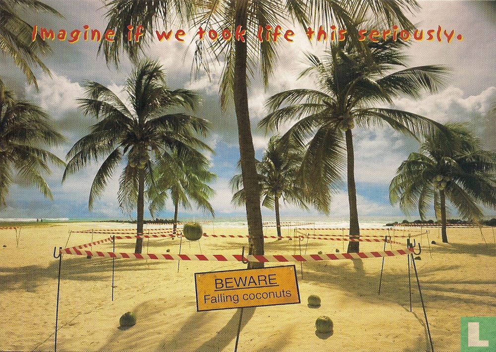 Malibu "Beware Falling coconuts"
