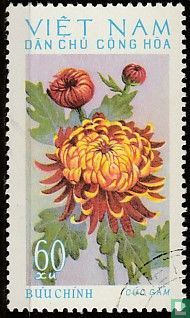 Chrysanten