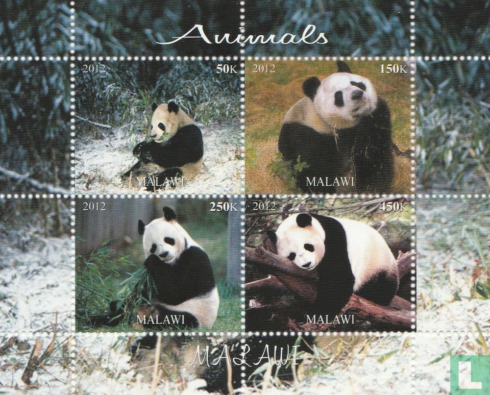 Panda géant