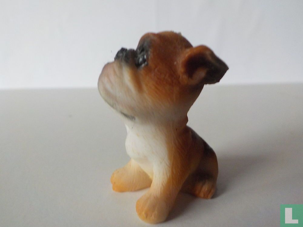 Chien