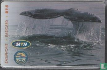 Whale