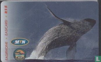 Whale