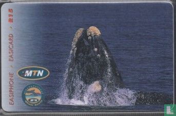 Whale