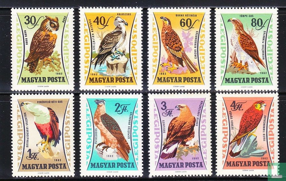 Oiseaux de proie 