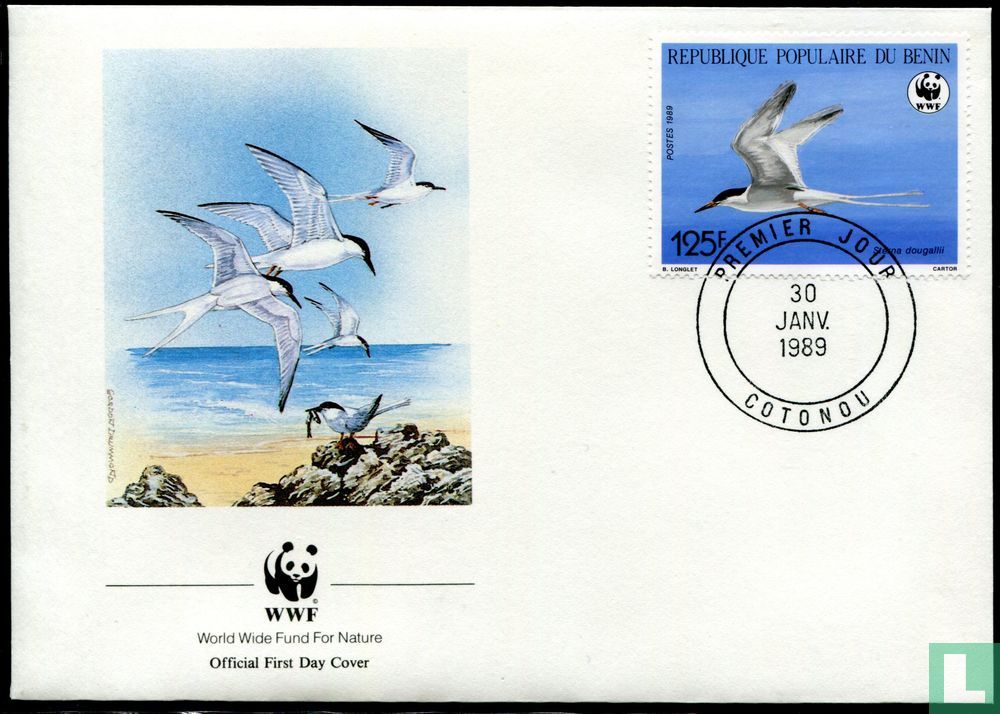 Roseate tern 