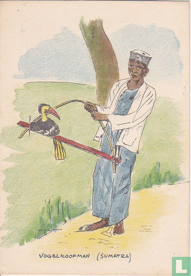Vogelkoopman (Sumatra) 