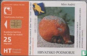 Hlap Rak Rakovi -
