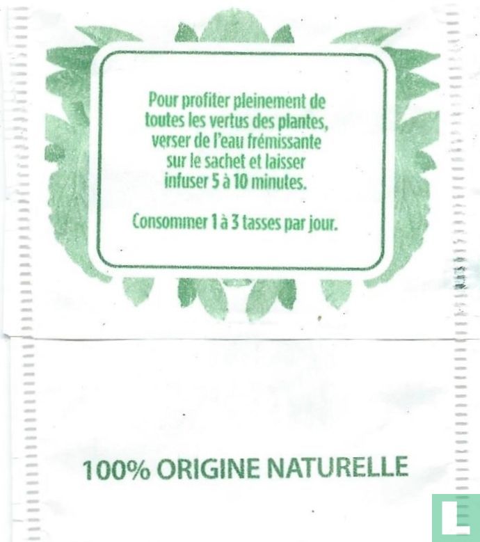 Draineur Intense