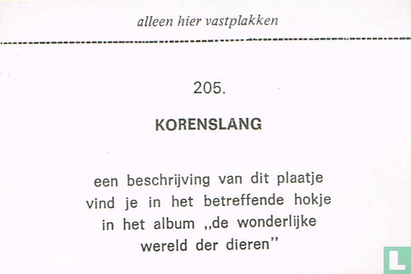 Korenslang