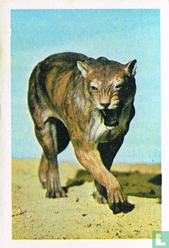 Sabeltandtijger